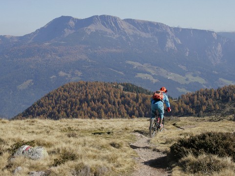 Mountainbiketouren mit vielen Trails